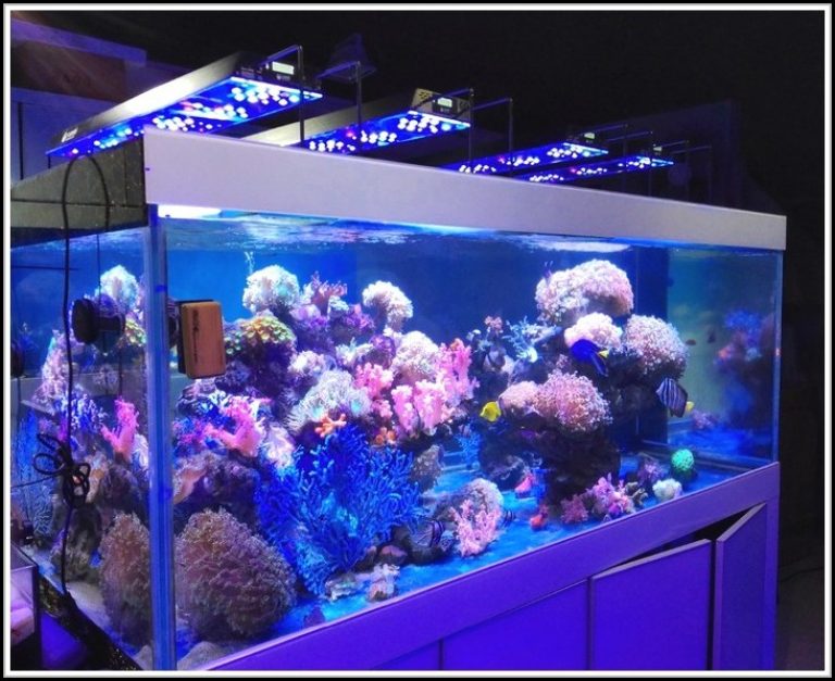 Aquarium Led Beleuchtung Selber Bauen 2014 Download Page